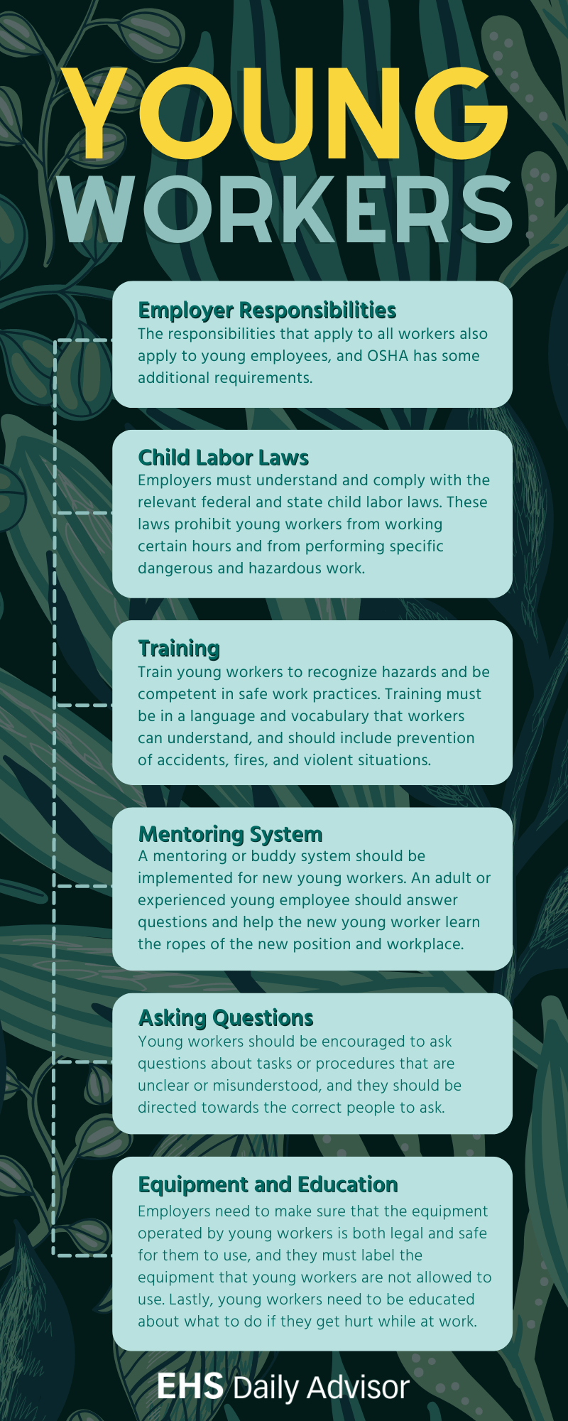 Young worker safety infographic