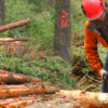 Protecting forestry and logging operations