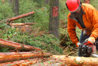 Protecting forestry and logging operations